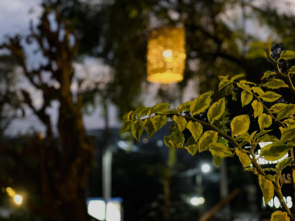 Mad Monkey Hostel And Lounge 埃拉 外观 照片